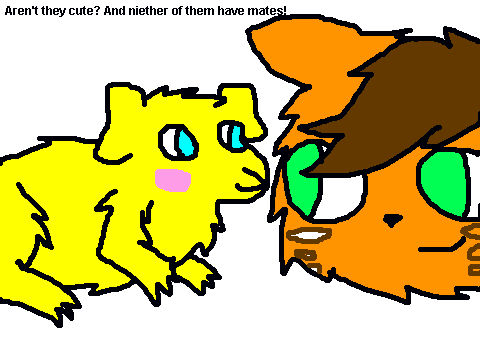 Krymsen and dandy!