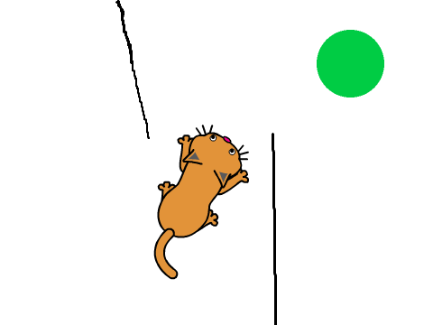 super chat dans les croquettes !!! 