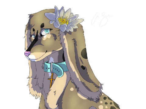 =.= MistCat's OC Sonder . Contest Entry =.= 