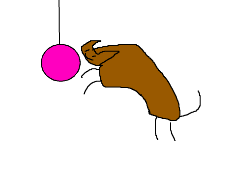 cat-2