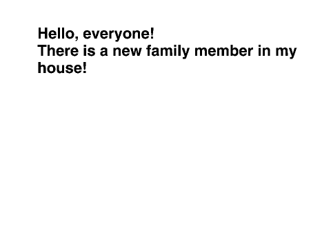 A New Family Member
