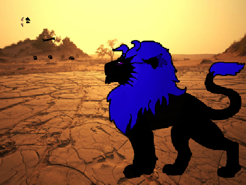 Lion boi