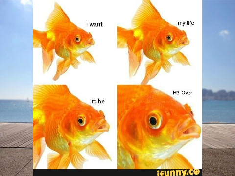 Funny posts 4