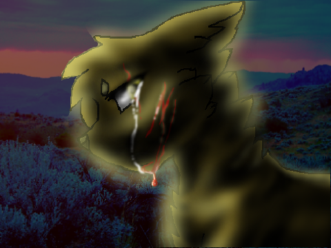 ~Wake Up~   CC Contest  !OPEN! entry