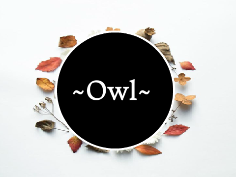 ~Owl~