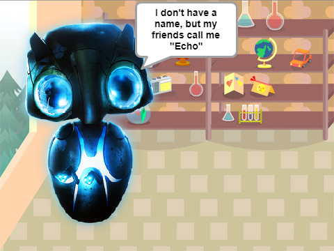 Echo Interview