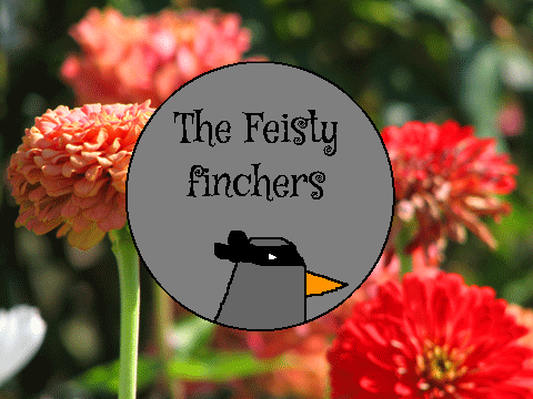 The Feisty finchers