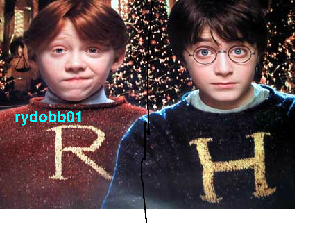 sign left for ron right for harry remix