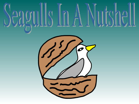 Seagulls In A Nutshell