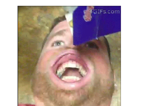 the funniest GIFS ever