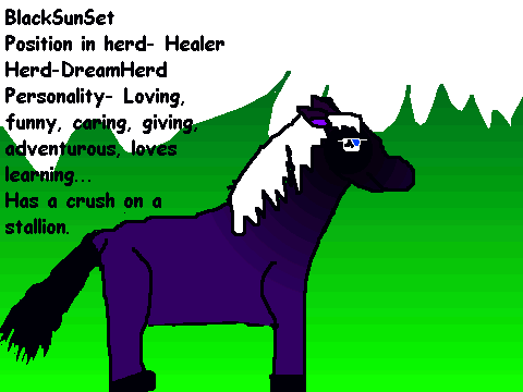 BlackSunSet