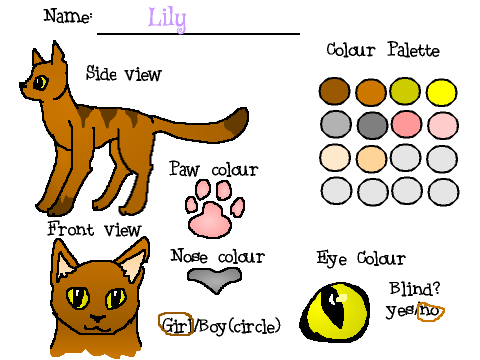 Warrior Cats Create a Cat Character! 