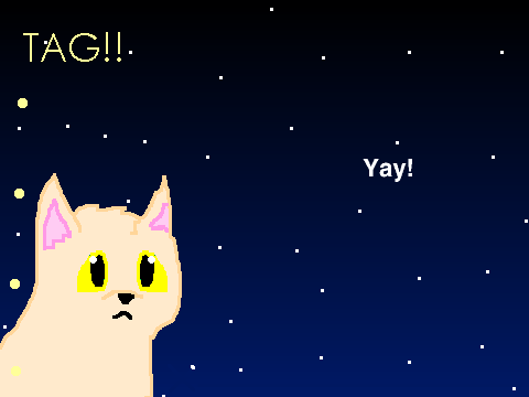 Warrior Cats Meme!