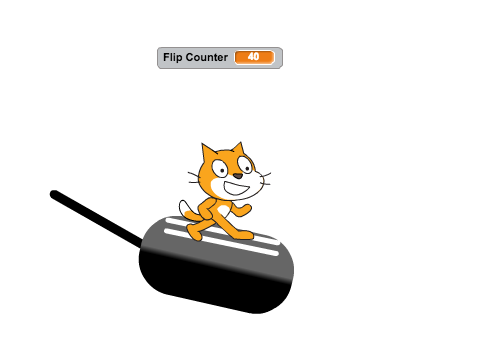 Flip the Cat