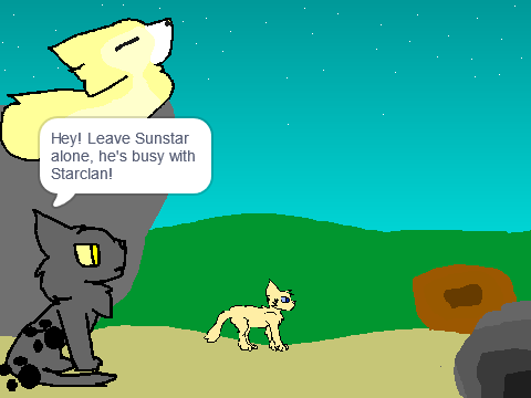Warrior cats The Vision