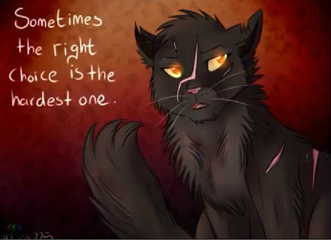 My Favorite warriors /Medicen cats