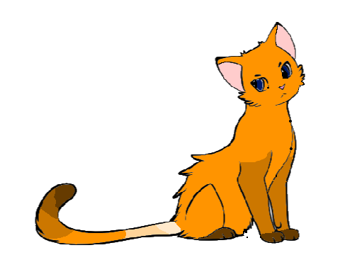 TwilightClan cat OrangeTail