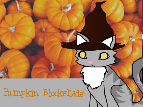 Pumpkin Blockshade!