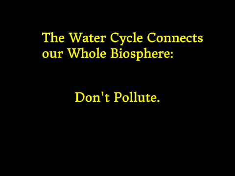 Water Cycle