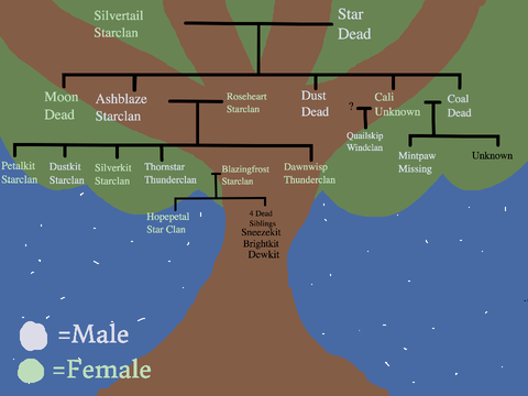 Ashblaze's Family Tree |Four Clans RP|