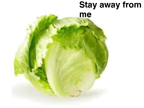 Beep Beep Lettuce 