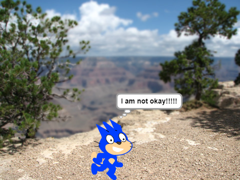 I am sanic