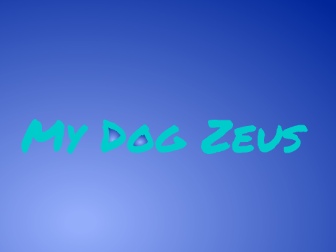 My Dog Zeus