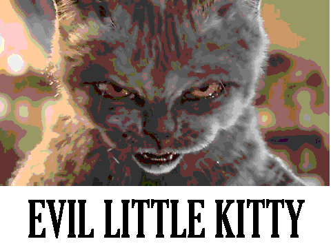 The Mean Kitty Song