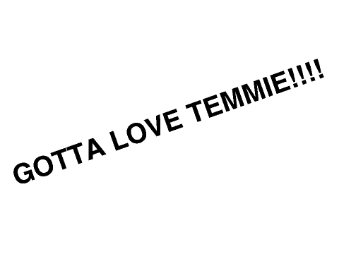 Temmie Theme Art!