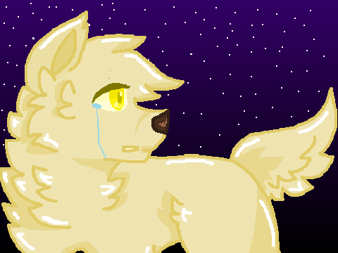 wolf mother // cc entry