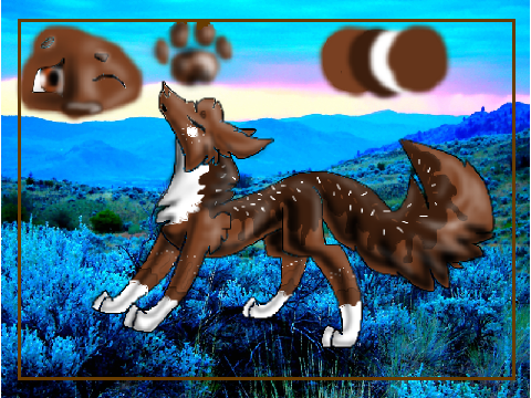 DT With -FeatherStream