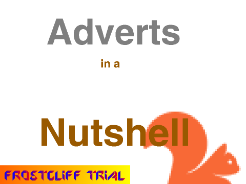 Adverts In A Nutshell