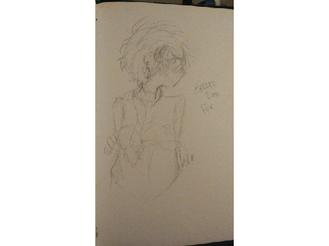 side head view attempt (human)