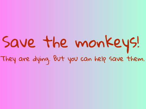 Save the monkeys.