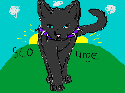 drawing contest {warrior cats} remix