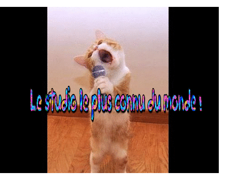 Le studio le + connu du monde !