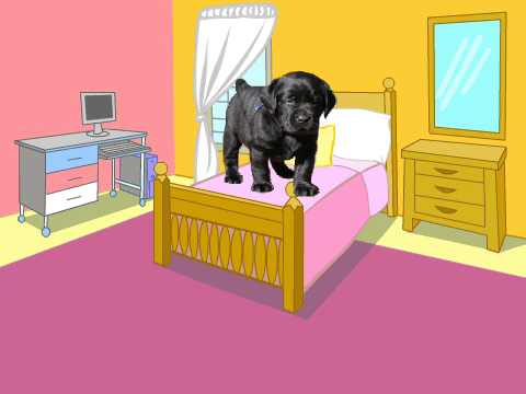 chien