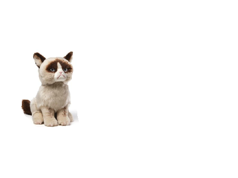 Grumpy Cat's Rocket