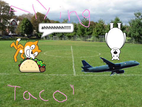 EVIL BEAR VS. TACO CAT