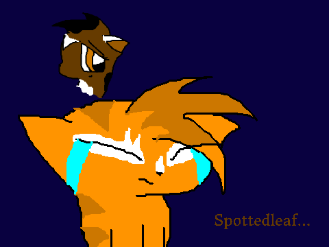 Oh, Spottedleaf...