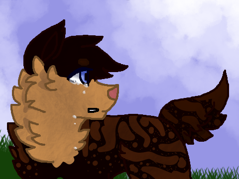 --Wolf Mother CCE--