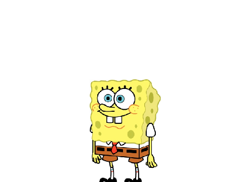what the sponge