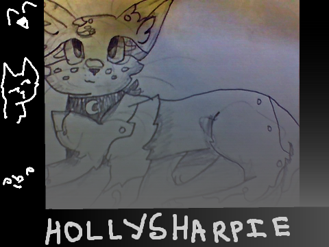 -can't draw-
