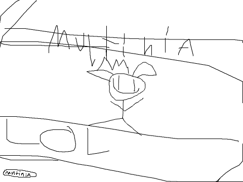 multinia dances