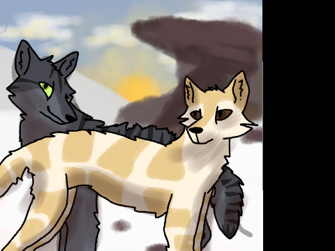 Bee&Paw