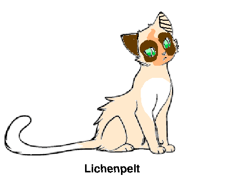 Warrior cats OC (Open!!) remix