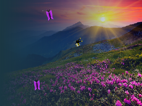 Pretty Spring Day :D