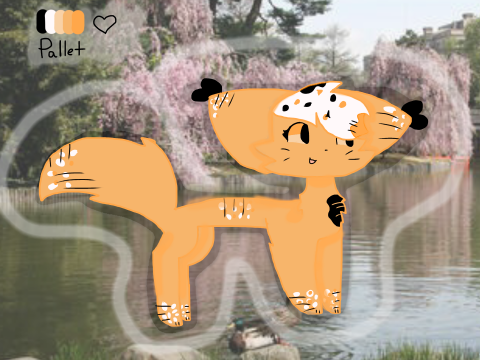 Koi Fish Cat Thing (DONT JUDGE)