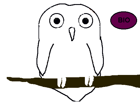 Guardians of Ga'Hoole RPG: Padora...Template and Bio...Also a Coloring Contest!
