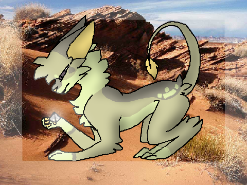 ||  DTAE Desert Sand  ||